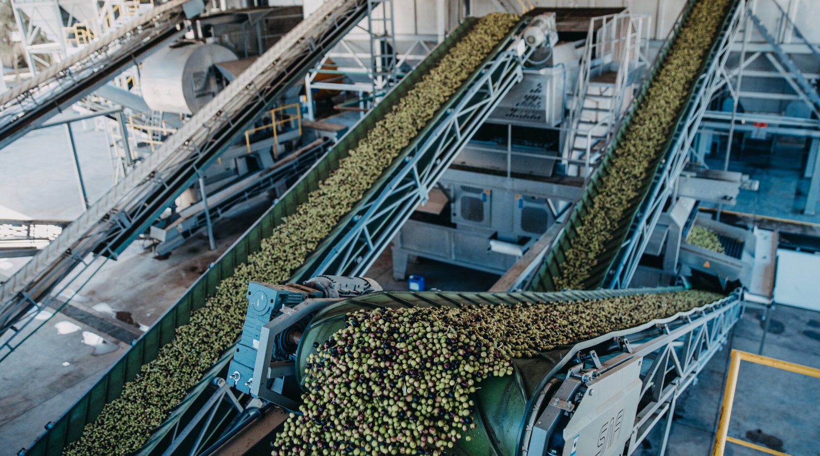 Planta agroindustrial de procesamiento en Mendoza