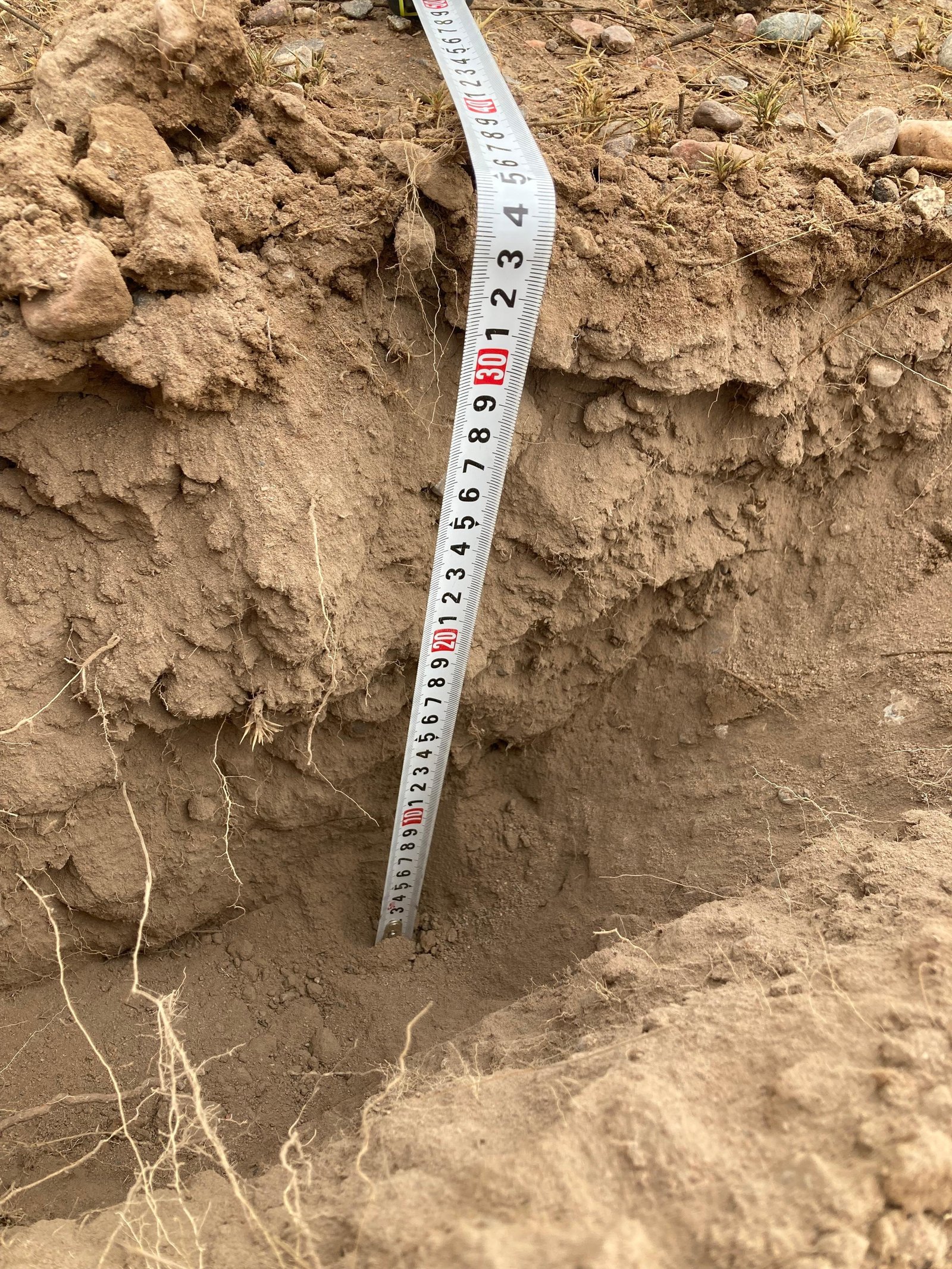 Perfil de suelo en finca mendocina con cinta m&eacute;trica