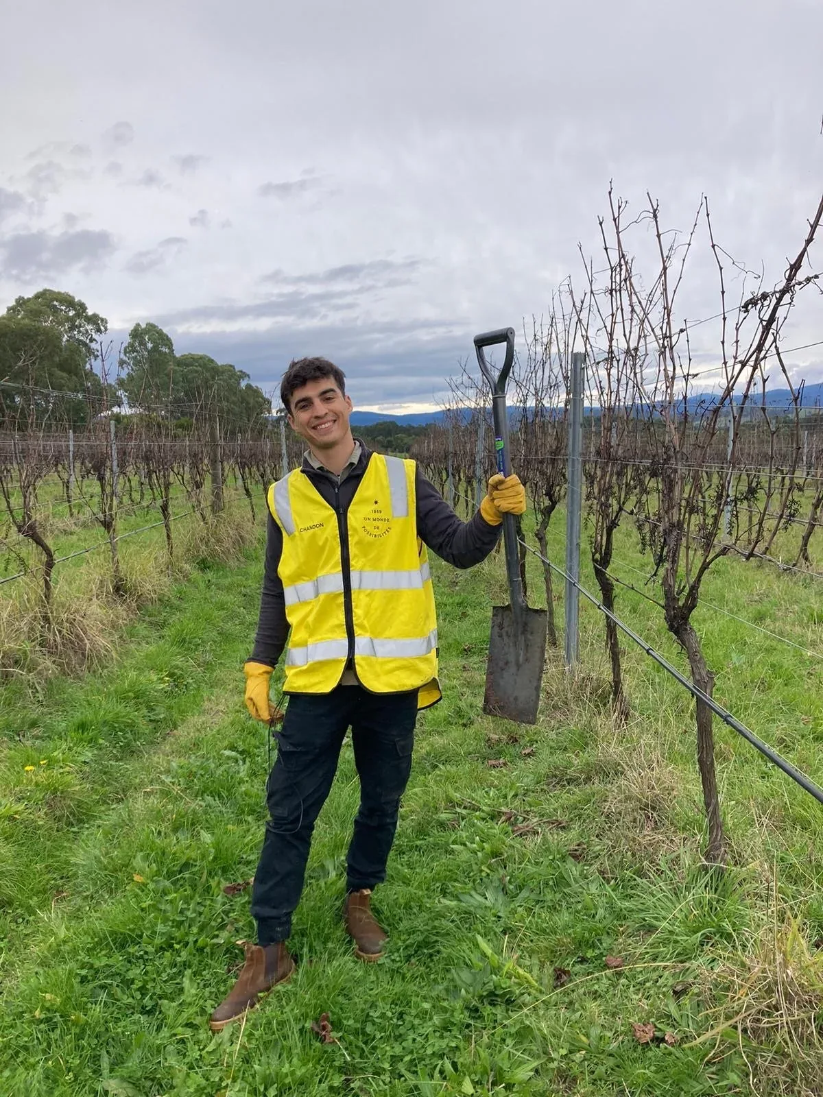 Profesional en campo con Andes al fondo, Mendoza