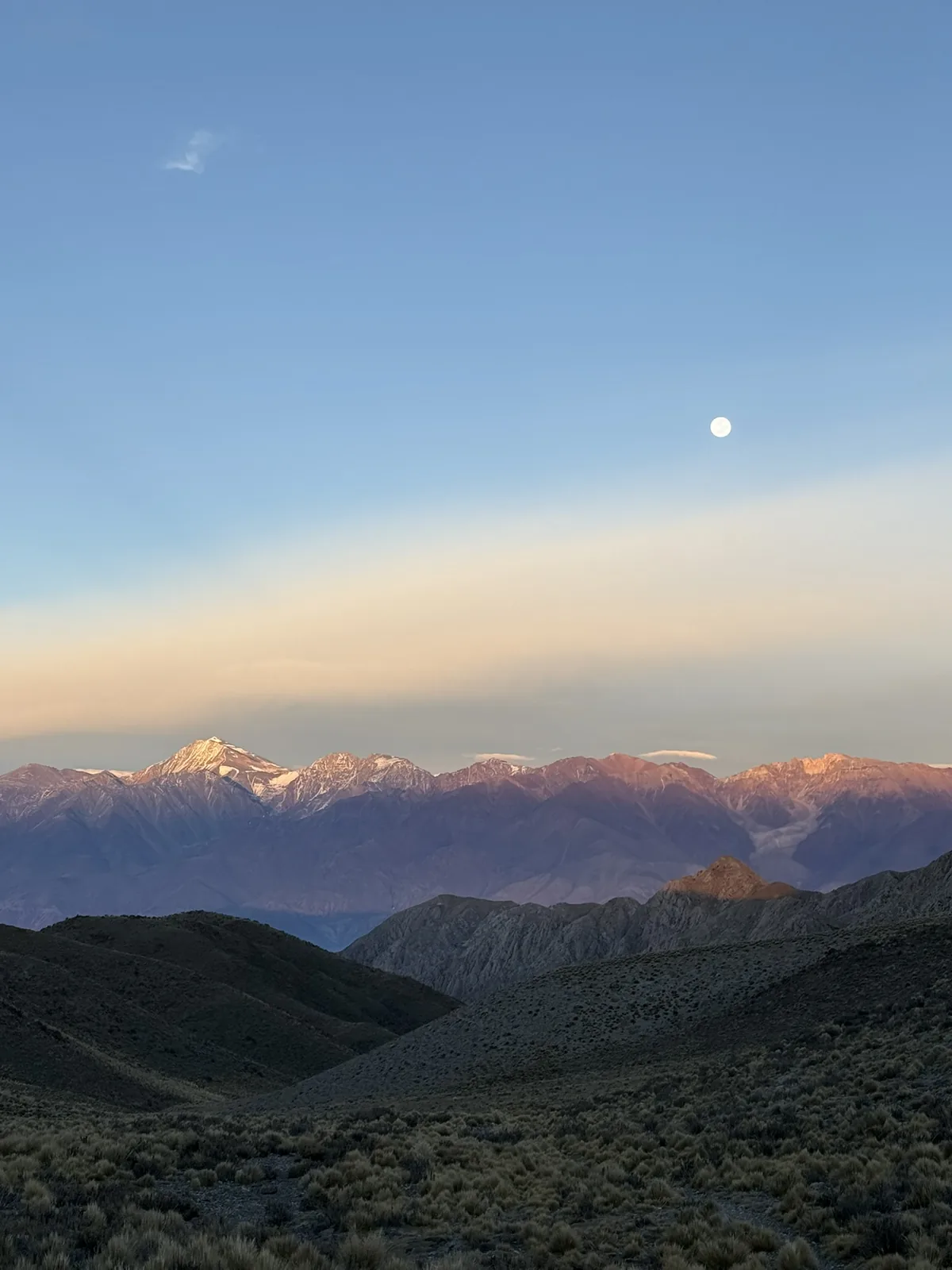 Vi&ntilde;edo con los Andes nevados, Mendoza